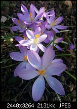 Kamera (Video- und Fotoqualität) vom Galaxy S III-20130305_153705.jpg