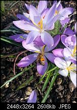 Kamera (Video- und Fotoqualität) vom Galaxy S III-20130305_153535.jpg