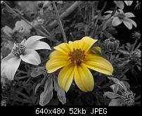 Kamera (Video- und Fotoqualität) vom Galaxy S III-galaxy.jpg