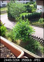 Kamera (Video- und Fotoqualität) vom Galaxy S III-s2_2.jpg