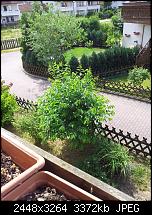 Kamera (Video- und Fotoqualität) vom Galaxy S III-note_2.jpg