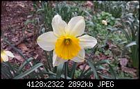 Kamera (Videos und Fotoqualität) vom Galaxy S4-cam6.jpg