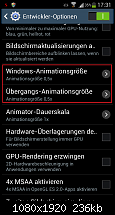 Galaxy S4 - Animationen und Homebutton beschleunigen-2013-05-12-17-31-29.png