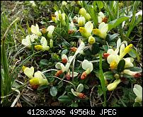 Fotoqualität des Samsung Galaxy S4-20130531_141447.jpg