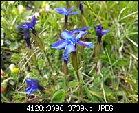 Fotoqualität des Samsung Galaxy S4-20130531_141438.jpg