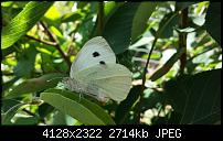 Fotoqualität des Samsung Galaxy S4-20130721_105753.jpg