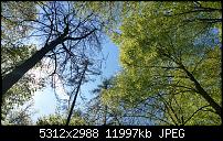 Samsung Galaxy S5 - Fotoqualität-20140420_142747.jpg