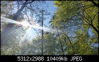 Samsung Galaxy S5 - Fotoqualität-20140420_142753.jpg