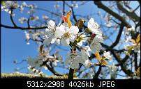 Samsung Galaxy S5 - Fotoqualität-20140420_145031.jpg