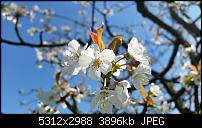 Samsung Galaxy S5 - Fotoqualität-20140420_145036.jpg