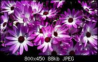 Samsung Galaxy S5 - Fotoqualität-img-20140421-wa0000.jpg