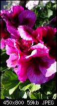 Samsung Galaxy S5 - Fotoqualität-img-20140421-wa0001.jpg