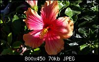 Samsung Galaxy S5 - Fotoqualität-img-20140421-wa0002.jpg