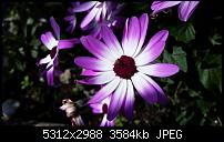 Samsung Galaxy S5 - Fotoqualität-20140505_132850.jpg