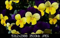 Samsung Galaxy S5 - Fotoqualität-20140505_132907.jpg