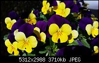 Samsung Galaxy S5 - Fotoqualität-20140505_132912.jpg