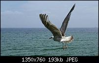 Samsung Galaxy S5 - Fotoqualität-uploadfromtaptalk1400510322900.jpg