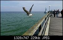 Samsung Galaxy S5 - Fotoqualität-uploadfromtaptalk1400510513549.jpg