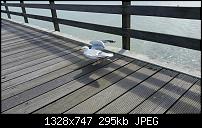 Samsung Galaxy S5 - Fotoqualität-uploadfromtaptalk1400510532473.jpg