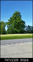 Der Samsung Galaxy S5 Stammtischthread [OT]-uploadfromtaptalk1400568206021.jpg