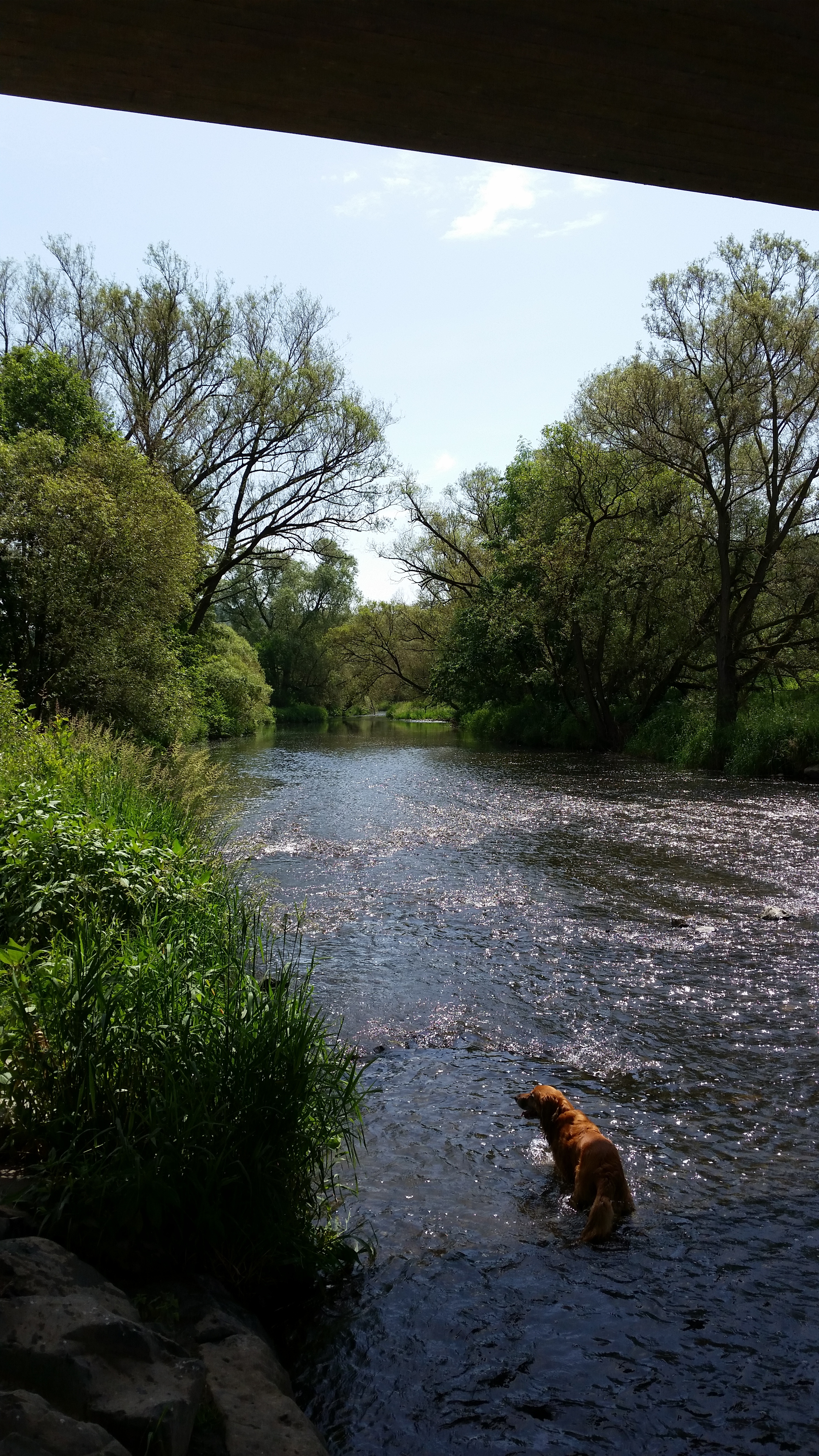 Samsung Galaxy S5 - Fotoqualität-20140608_123323.jpg