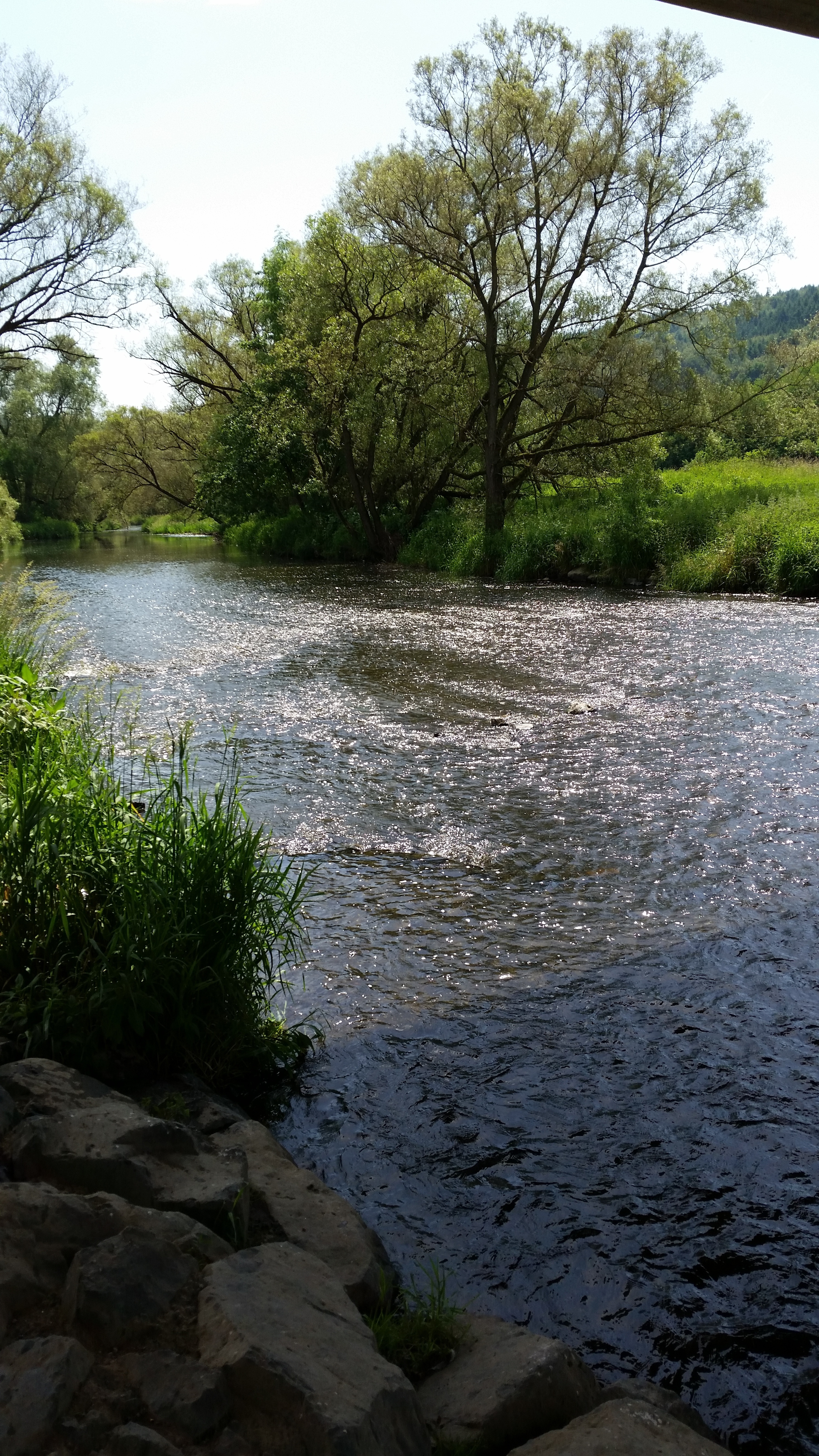 Samsung Galaxy S5 - Fotoqualität-20140608_123355.jpg