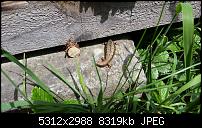 Samsung Galaxy S5 - Fotoqualität-2014-06-12-14.04.18.jpg