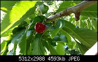 Samsung Galaxy S5 - Fotoqualität-2014-06-14-17.28.54.jpg