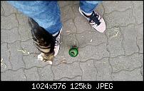 Samsung Galaxy S5 - Fotoqualität-uploadfromtaptalk1403476294470.jpg