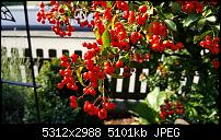 Fotoqualität des Samsung Galaxy S6 Edge Plus-20150927_111755.jpg