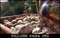 Fotoqualität des Samsung Galaxy S6 Edge Plus-20150927_111839.jpg