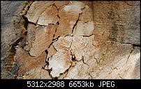 Fotoqualität des Samsung Galaxy S6 Edge Plus-20151016_133639.jpg