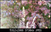 Fotoqualität des Samsung Galaxy S6 Edge Plus-20151016_133838.jpg