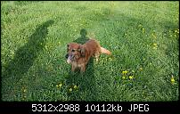 Samsung Galaxy S6 edge - Fotoqualität-20150426_174939.jpg