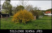 Samsung Galaxy S6 edge - Fotoqualität-20150426_181837.jpg