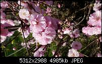 Samsung Galaxy S6 edge - Fotoqualität-20150423_142021.jpg