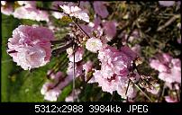 Samsung Galaxy S6 edge - Fotoqualität-20150426_195955.jpg