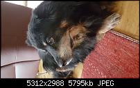 Samsung Galaxy S6 - Fotoqualität-20150416_170508.jpg