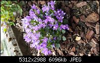 Samsung Galaxy S6 - Fotoqualität-20150416_170701.jpg