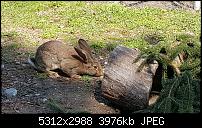 Samsung Galaxy S6 - Fotoqualität-20150423_151706_003.jpg