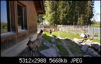 Samsung Galaxy S6 - Fotoqualität-20150423_152118_001.jpg