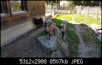 Samsung Galaxy S6 - Fotoqualität-20150423_152149.jpg