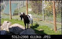 Samsung Galaxy S6 - Fotoqualität-20150423_152158.jpg