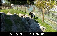 Samsung Galaxy S6 - Fotoqualität-20150423_152139.jpg