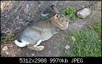 Samsung Galaxy S6 - Fotoqualität-20150423_151824.jpg