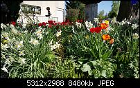 Samsung Galaxy S6 - Fotoqualität-20150423_163748.jpg