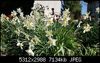 Samsung Galaxy S6 - Fotoqualität-20150423_163756.jpg