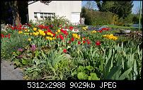 Samsung Galaxy S6 - Fotoqualität-20150423_163911.jpg