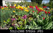 Samsung Galaxy S6 - Fotoqualität-20150423_163921_001.jpg