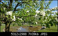 Samsung Galaxy S6 - Fotoqualität-20150423_152238.jpg